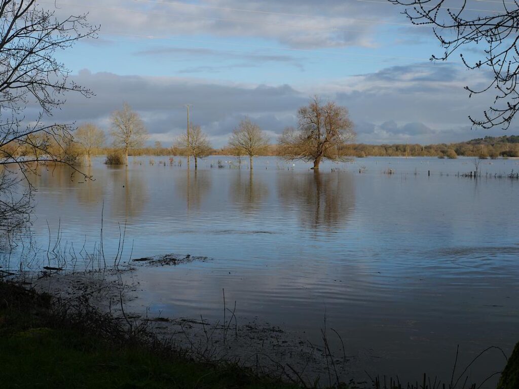 la belle anguille, site au bord de la Vilaine, en saison d'inondation