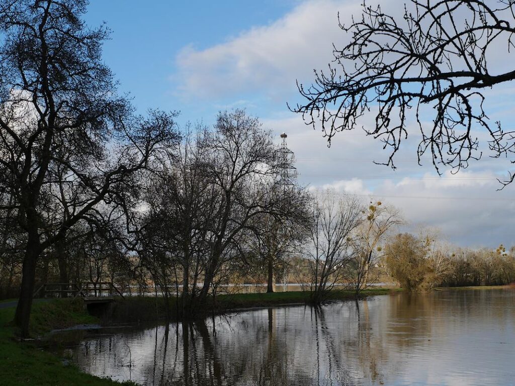 le nid de cigognes, au loin, à a Belle Anguille, à Redon