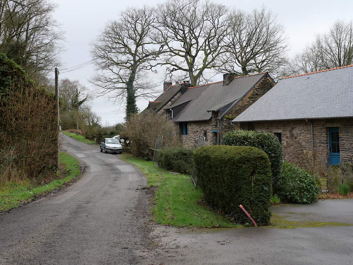 Saint-Just, le Châtaignier