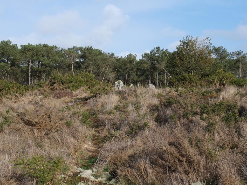 lande de Gremel, saint-just