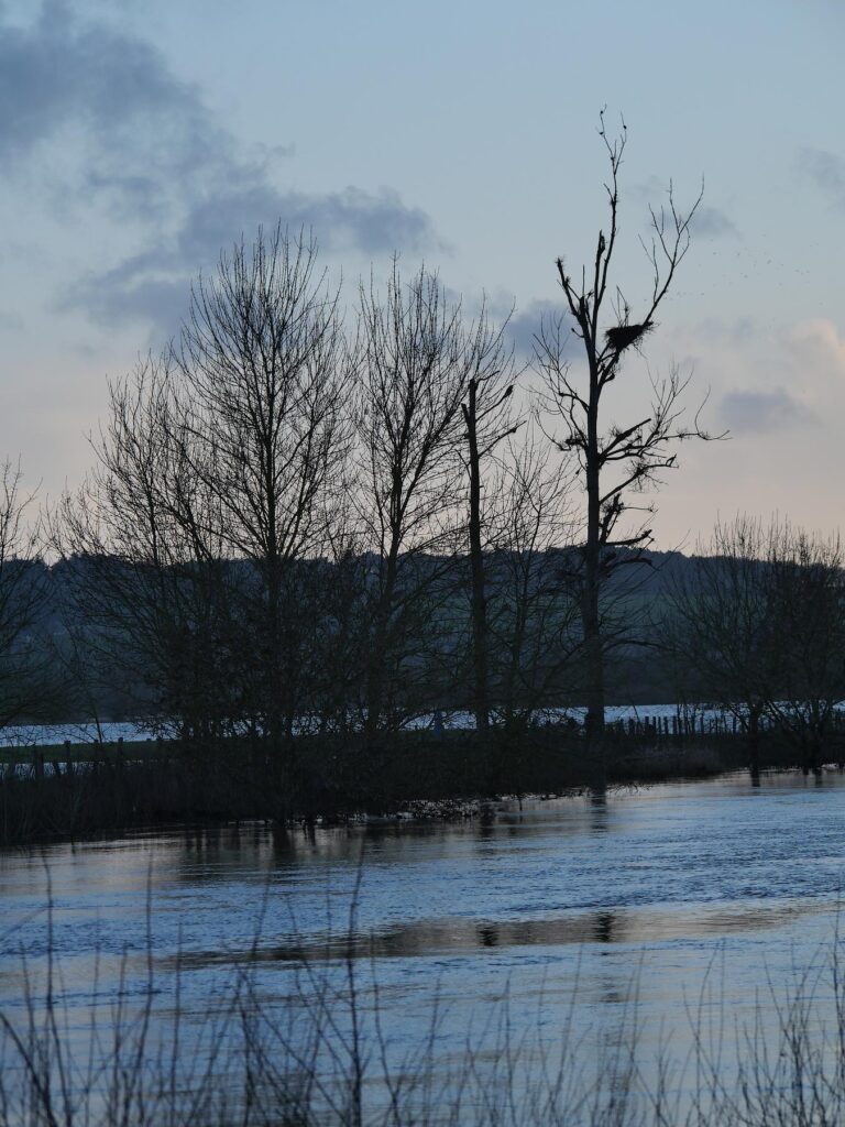 Pont-Chéan, lieu dit au bord de la Vilaine, à La Chapelle de Brain.