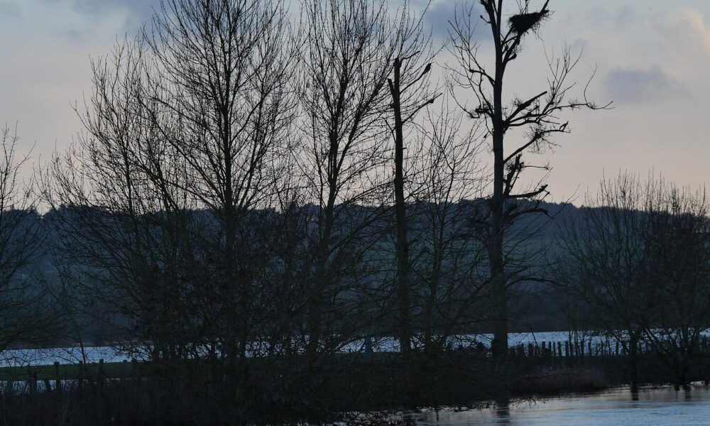 Pont-Chéan, lieu dit au bord de la Vilaine, à La Chapelle de Brain.