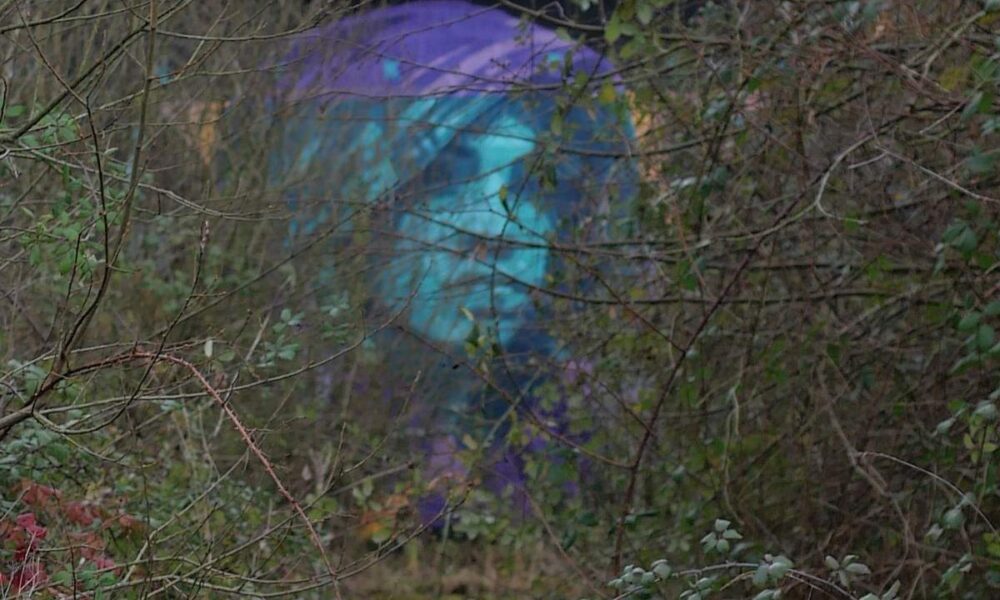 Visage graffé au transformateur de Saint-nicolas de Redon, à travers des branchages