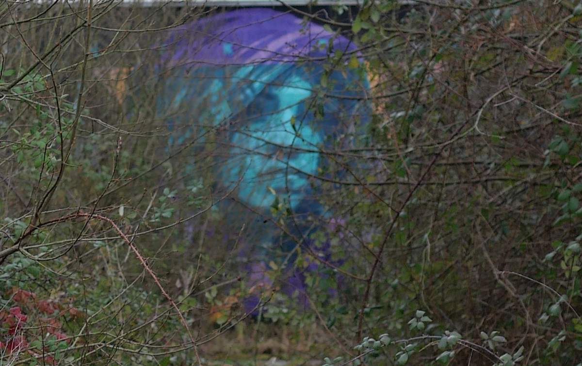 Visage graffé au transformateur de Saint-nicolas de Redon, à travers des branchages