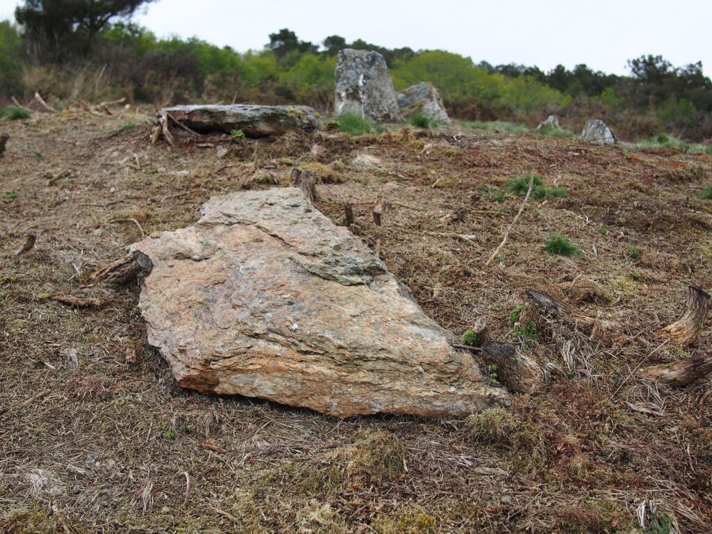 Les mégalithes de la lande de Gremel à saint-just