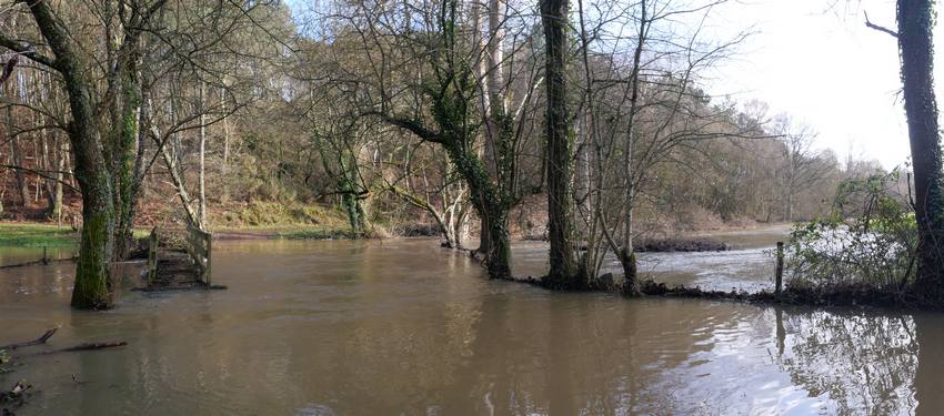 Le Canut, ruisseau de Trohinat, Sixt sur aff