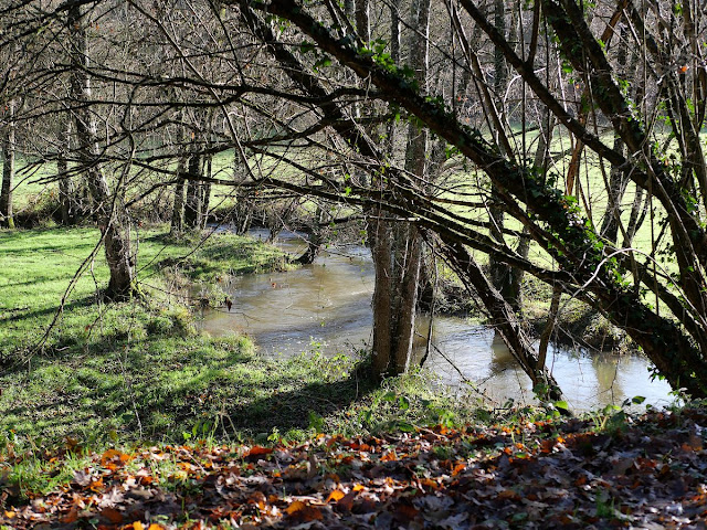 Le Canut à Trohinat