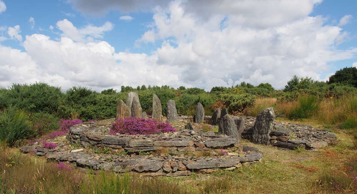 La Croix Saint-Pierre, site mégalithique des Landes de Cojoux