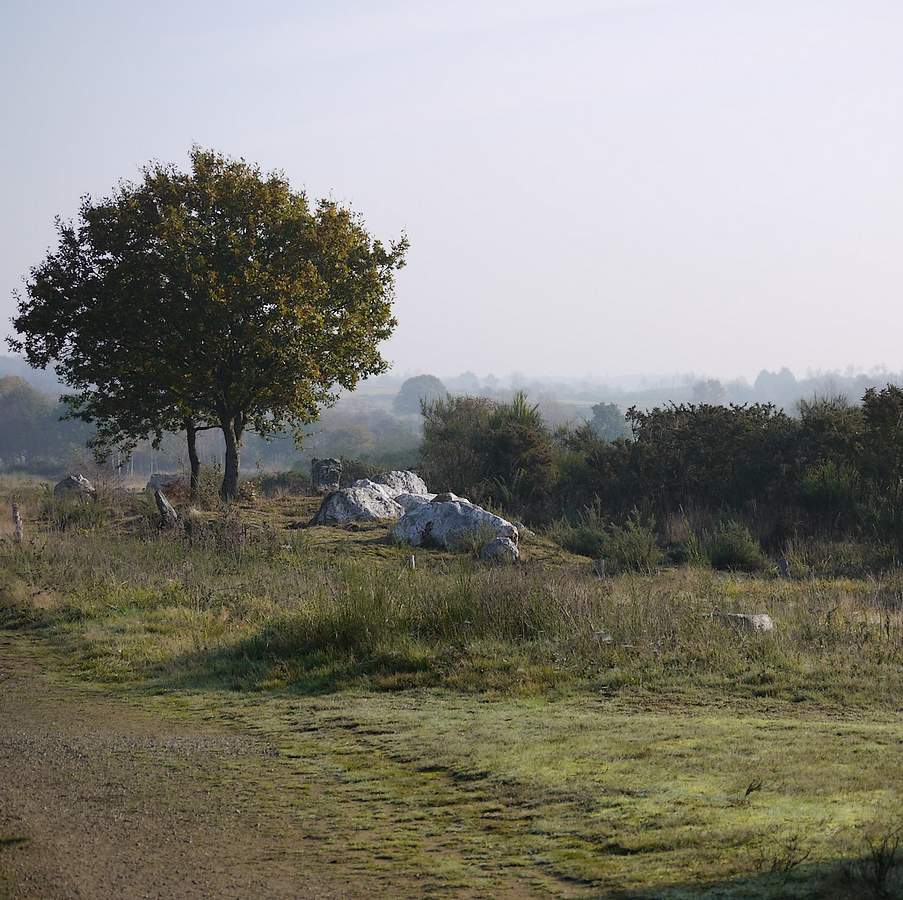 TERTRE du Tribunal, enceinte au charbon,en été
