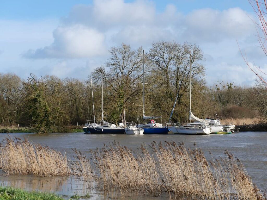 Bateaux sur la Vilaine lors de l'inondation à Redon en 2026