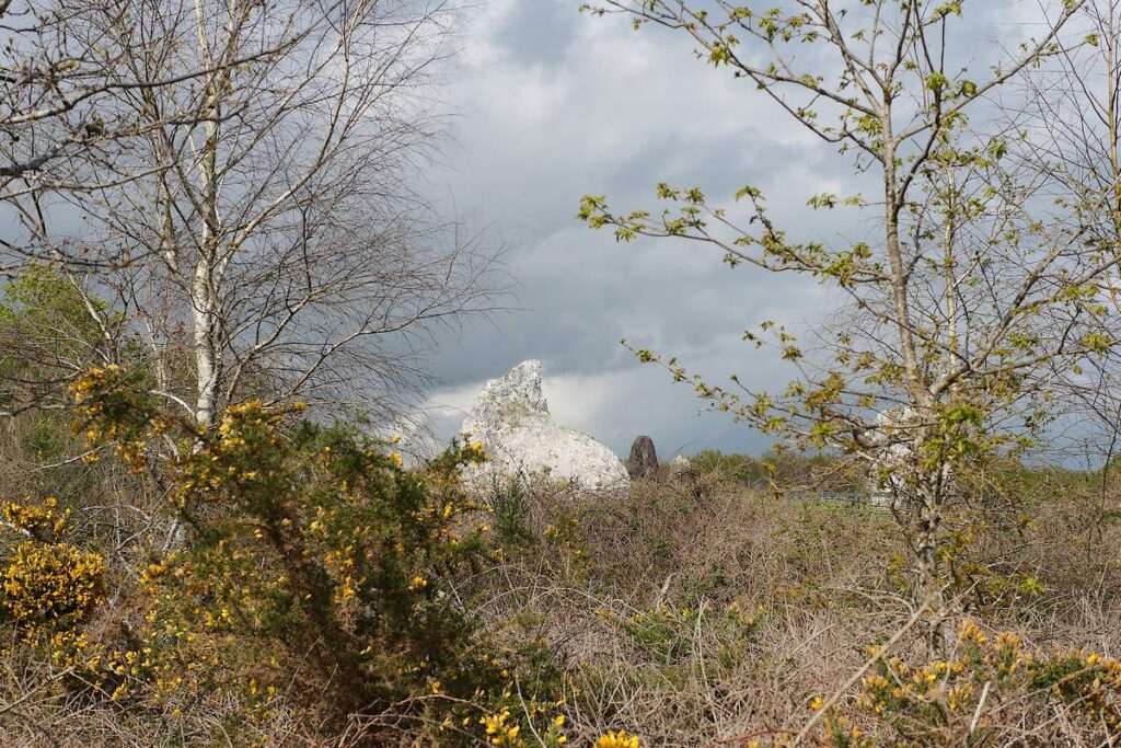 Le château-bu à travers les arbres. Saint-just, landes de Cojoux