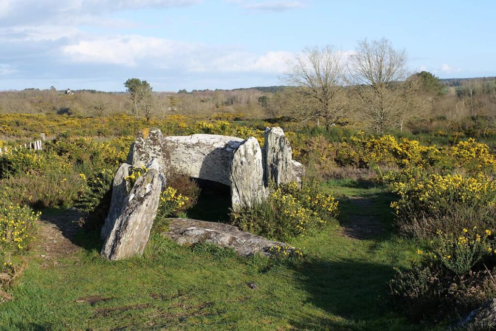 four sarrazin landes de cojoux