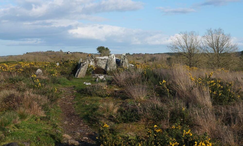 Le four Sarrazin, au sommet de sa petite butte