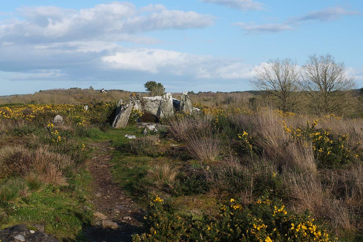 Le four Sarrazin, au sommet de sa petite butte
