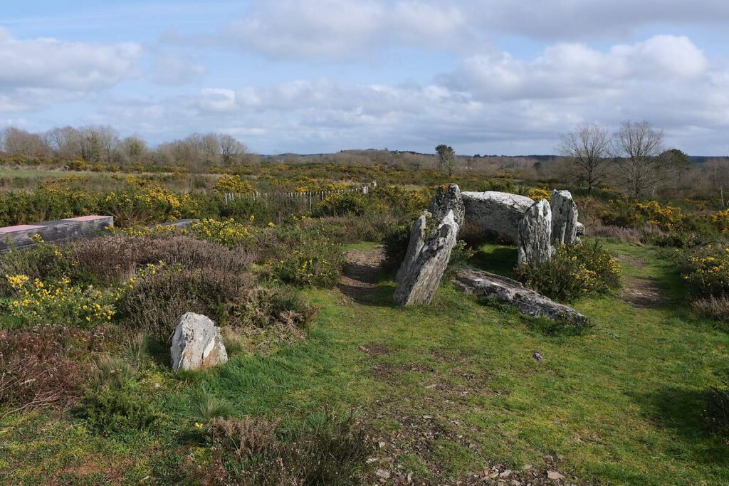 Le Four Sarrazin dans la lande de Cojoux