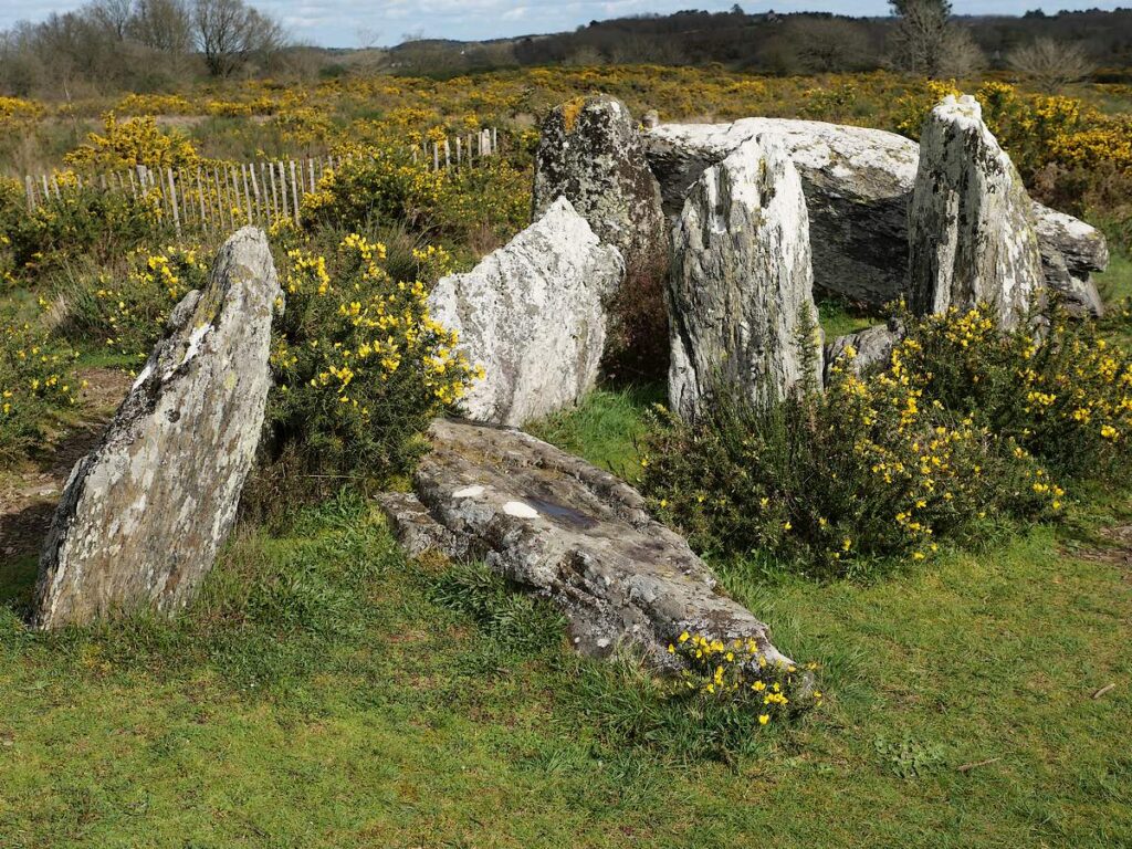 allée couverte "le Four Sarrazin", dans les Landes de Cojoux, à Saint-Just