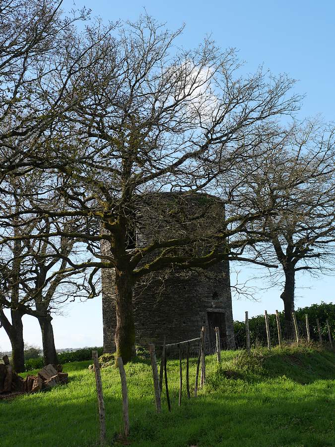 Moulin de la Butte,à Renac. Il est en ruine