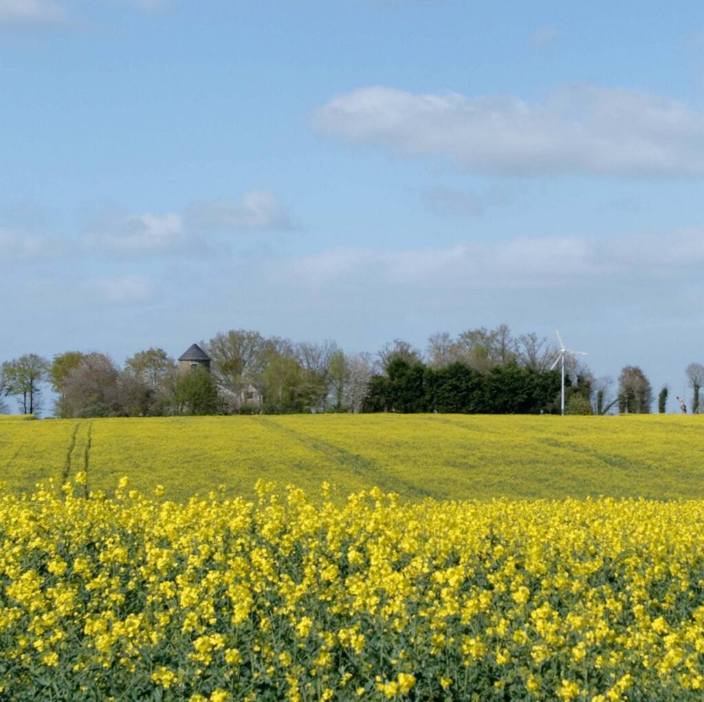 l'éolienne et le moulin à vent dU Tertre aux DANETS en mars 2026, à Pipriac