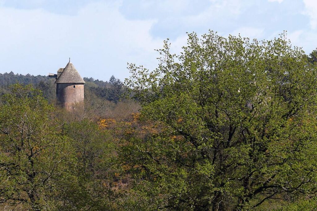 Moulin renac la Grée dans les bois