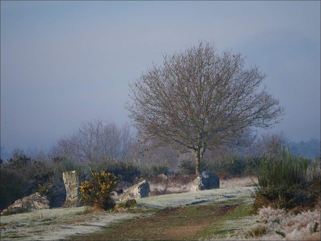 TERTRE du Tribunal, enceinte au charbon sous la neige