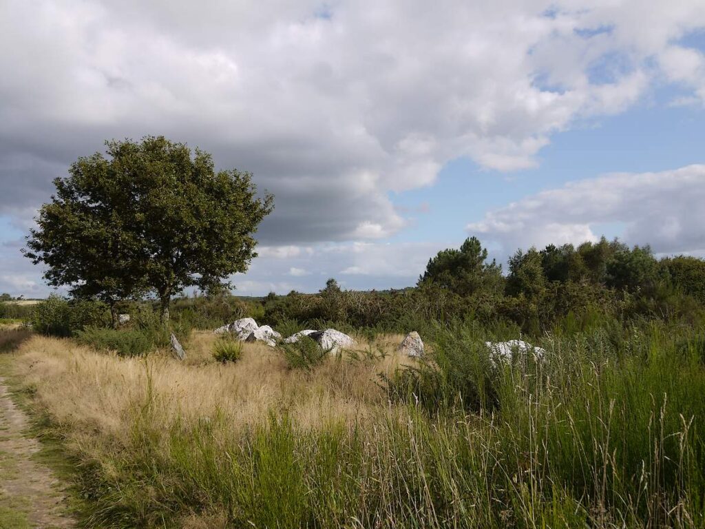 TERTRE du Tribunal, enceinte au charbon, en été