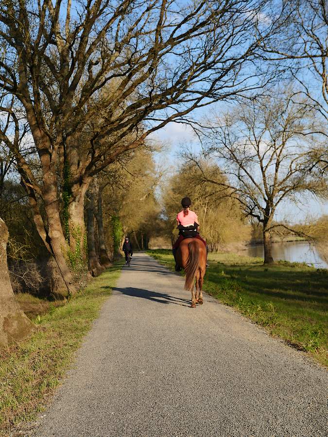 Cavalière et son cheval au Pont du Grand Pas à Ste Marie, sur le chemin de halage.