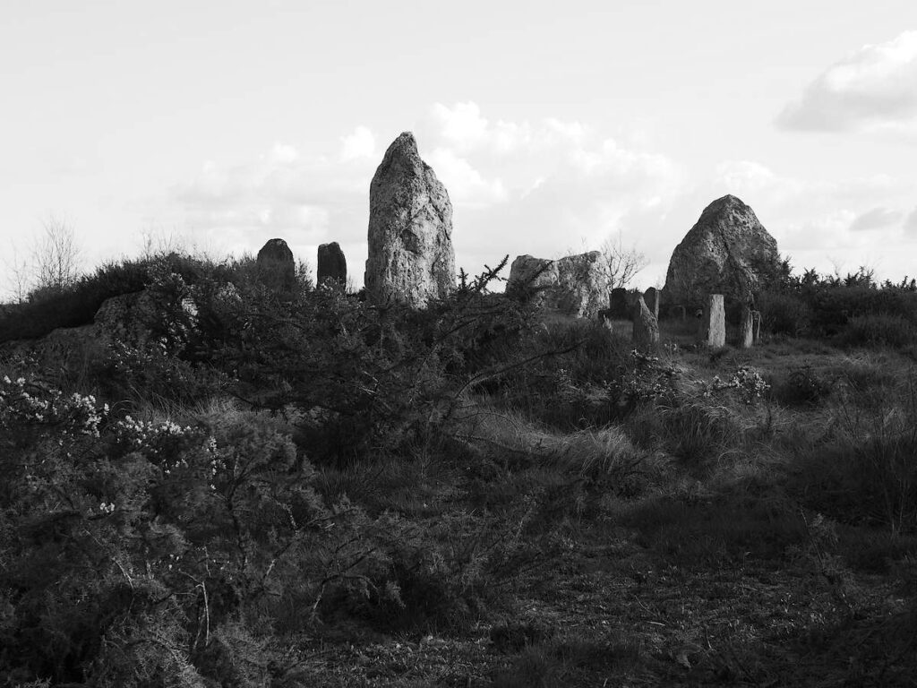 Le château bû, majestueux