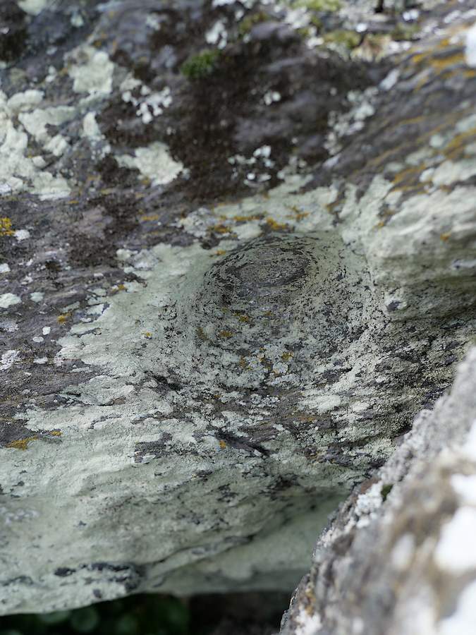 une cupule dans la dalle d'un mégalithe à Saint-Just