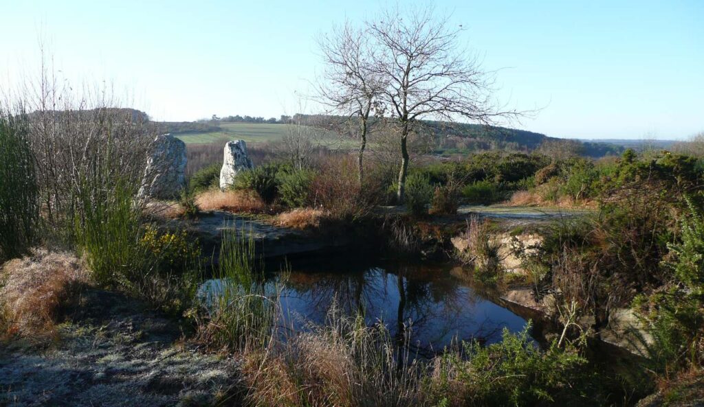 la mare des Demoiselles de Cojoux