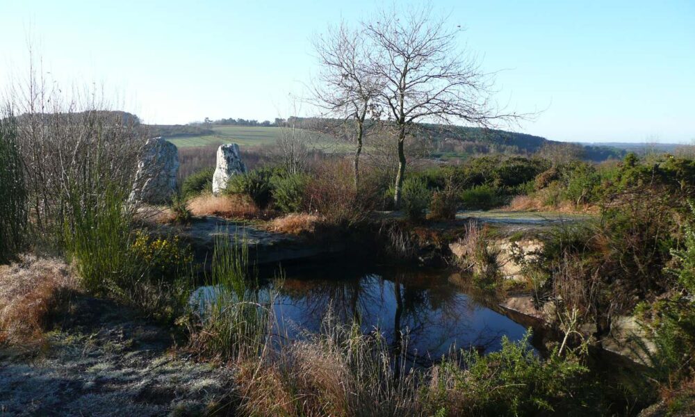 Pierres dressées dans les landes de Cojoux