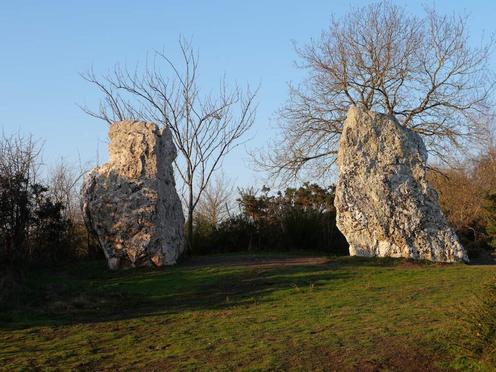 Demoiselles de Cojoux en hiver
