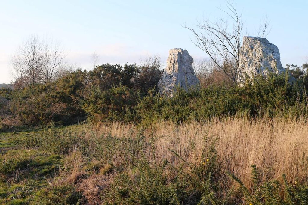 Les Demoiselles de Cojoux en 2011