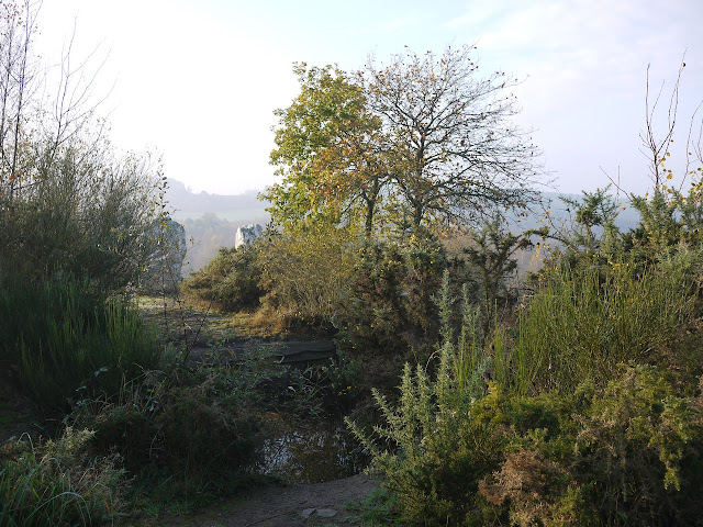 Les Demoiselles de Cojoux au détour du chemin
