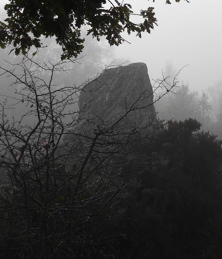 Le soir, dans la brume, Demoiselles de Cojoux à saint-Just