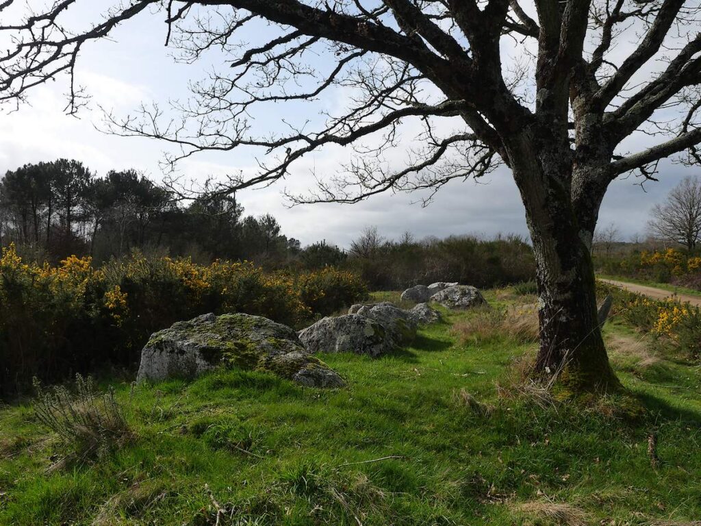 TERTRE du Tribunal, enceinte au charbon, au printemps