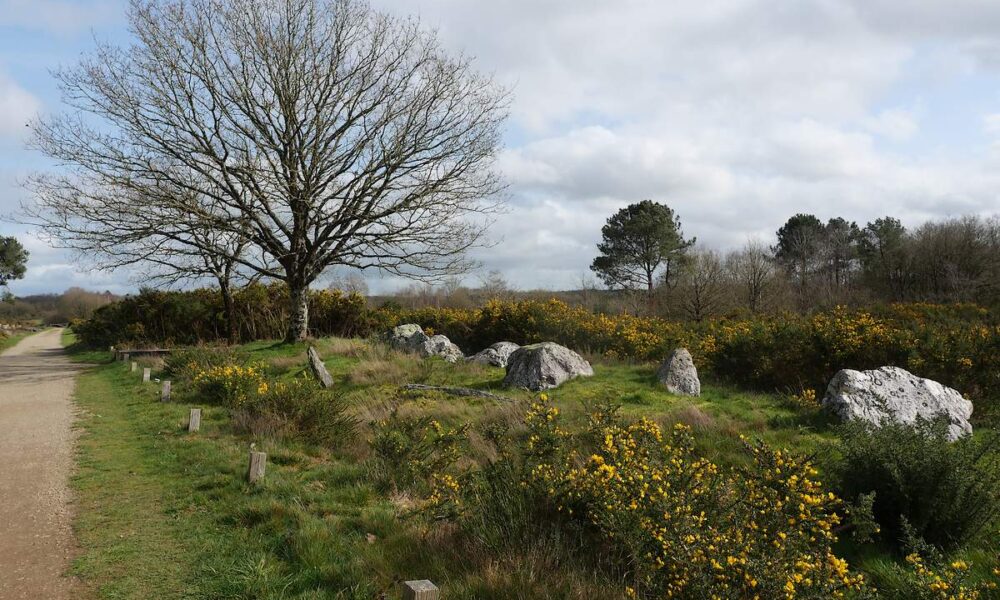 TERTRE du Tribunal, enceinte au charbon, au printemps