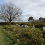 TERTRE du Tribunal, enceinte au charbon, au printemps