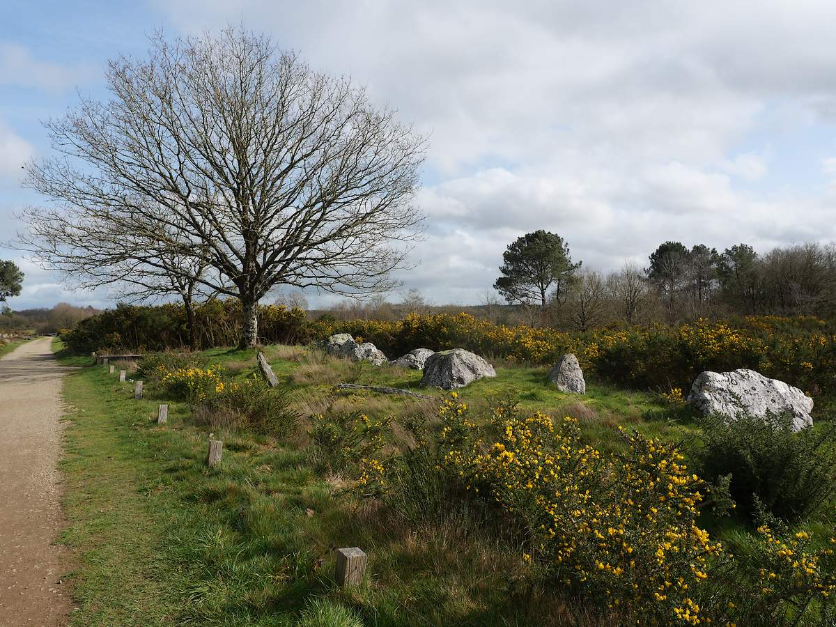 TERTRE du Tribunal, enceinte au charbon, au printemps
