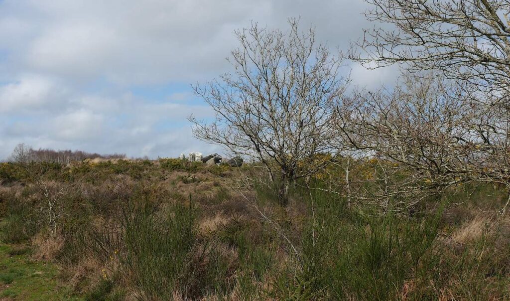 vu du chemin, le Four Sarrazin dans la lande