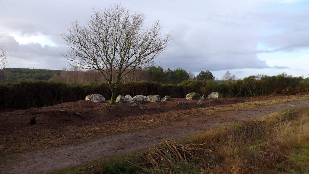 dégagement des blocs du tertre tumulaire, alignement du charbon