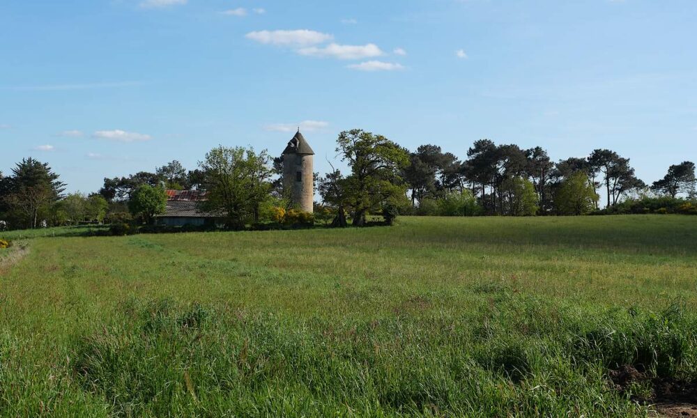 les anciens moulins à vent de Renac