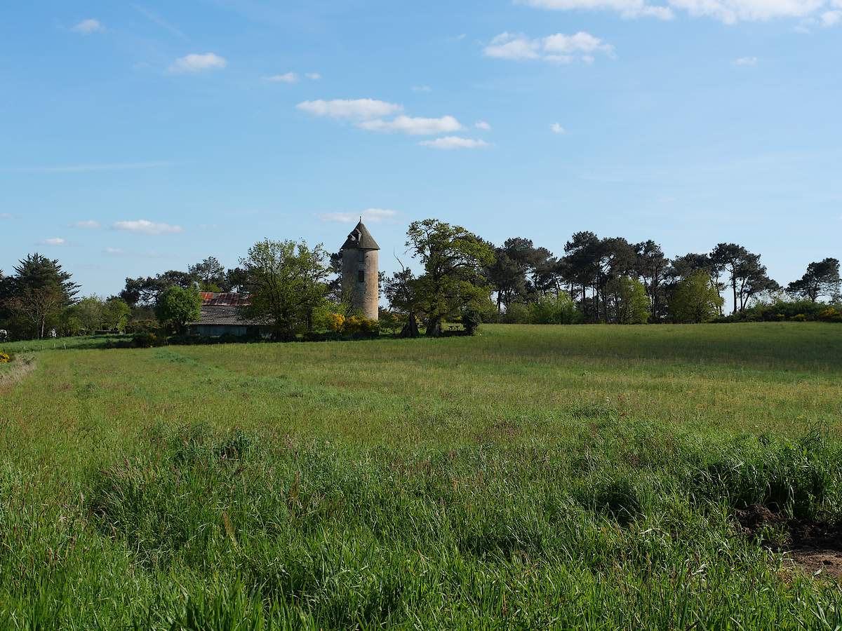 les anciens moulins à vent de Renac