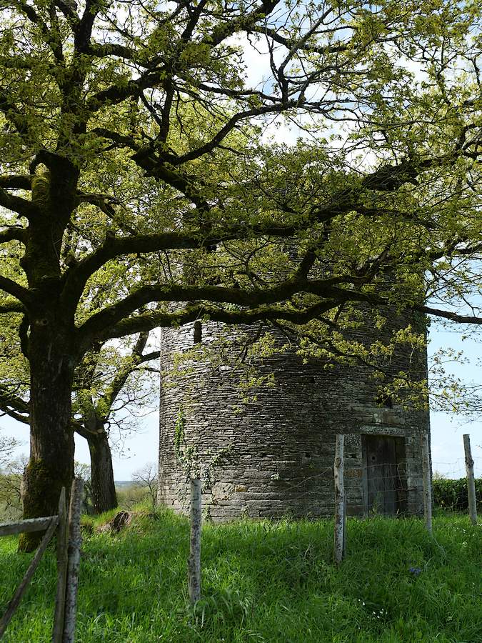 Moulin en ruines à Renac