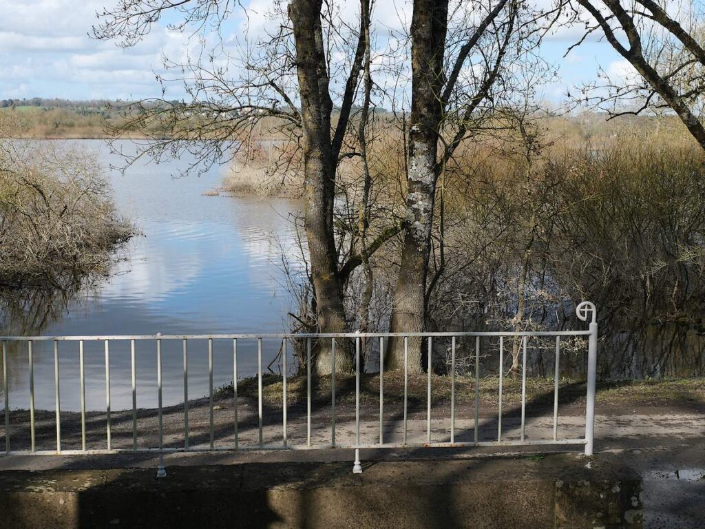 La mer de Murin, marais de Masserac