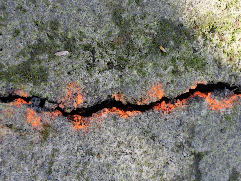 Route fissurée au Barrage de la POTINAIS à Bains sur OUST