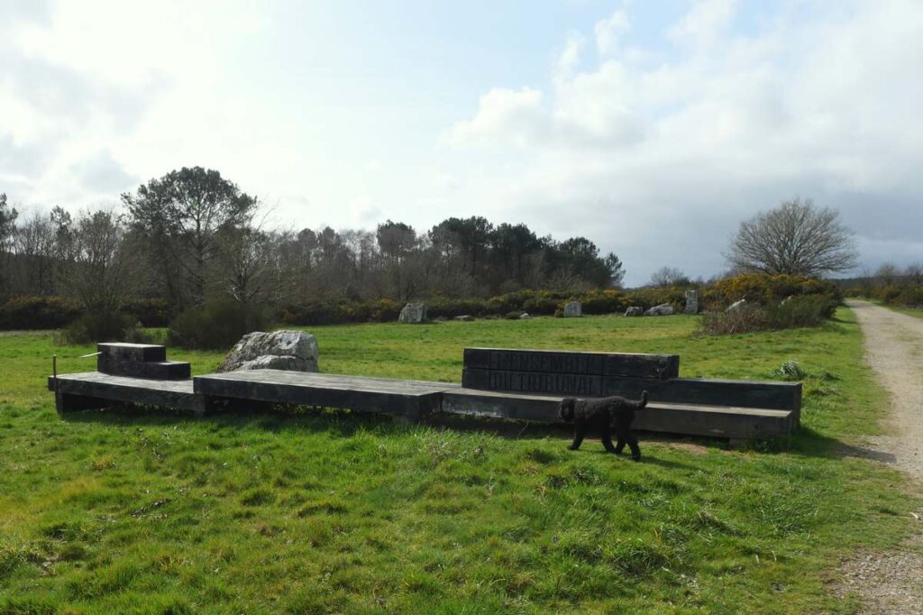 Le Tribunal, vu de l'accusé