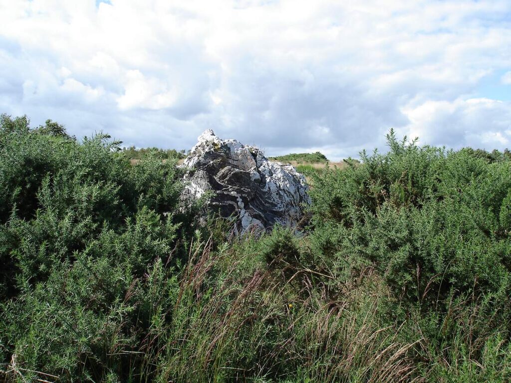 Comme s'il poussait dans les ajoncs, le rocher veiné du TRIBUNAL, ensemble mégalithique Saint-Just
