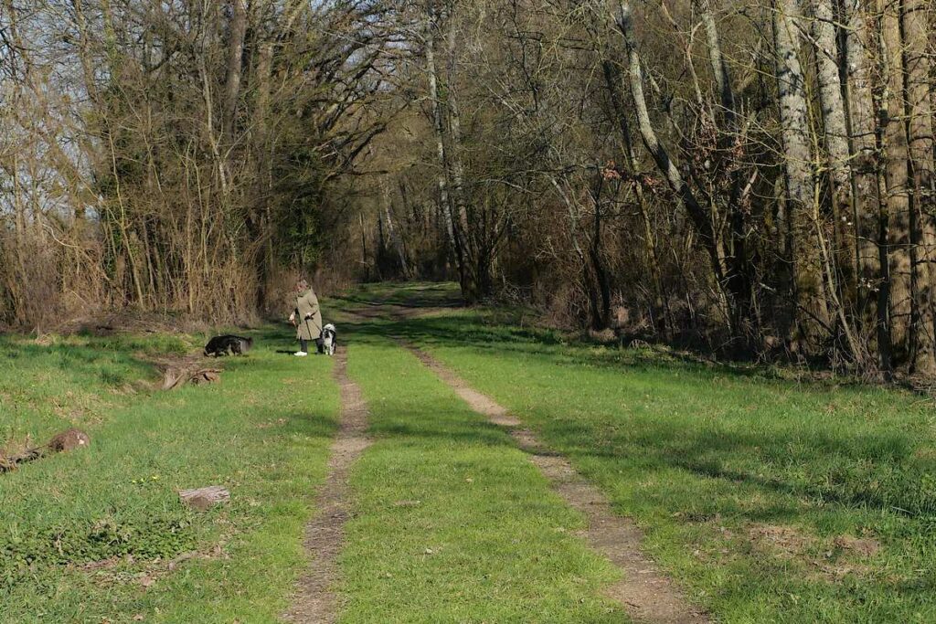 promenade dans les bois près de La fontaine Saint Léon à Glénac