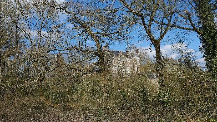 Le château de Juzet vu à travers les arbres
