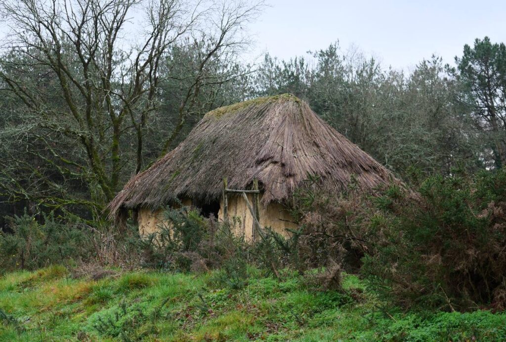 La maison néolithique en 2026